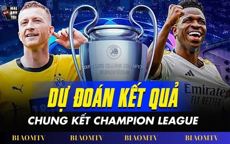 Phân tích bóng đá trước trận tại BiaomTV