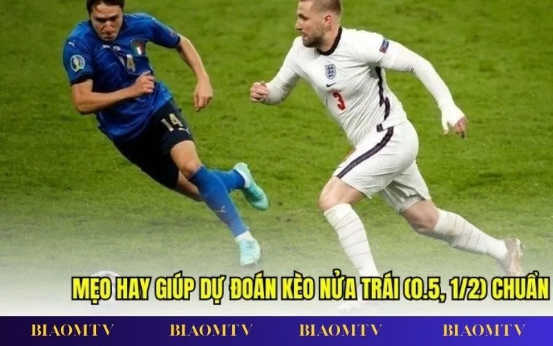 Phân tích kèo chấp nửa trái bằng dữ liệu thực tế và biến động tỷ lệ cược.