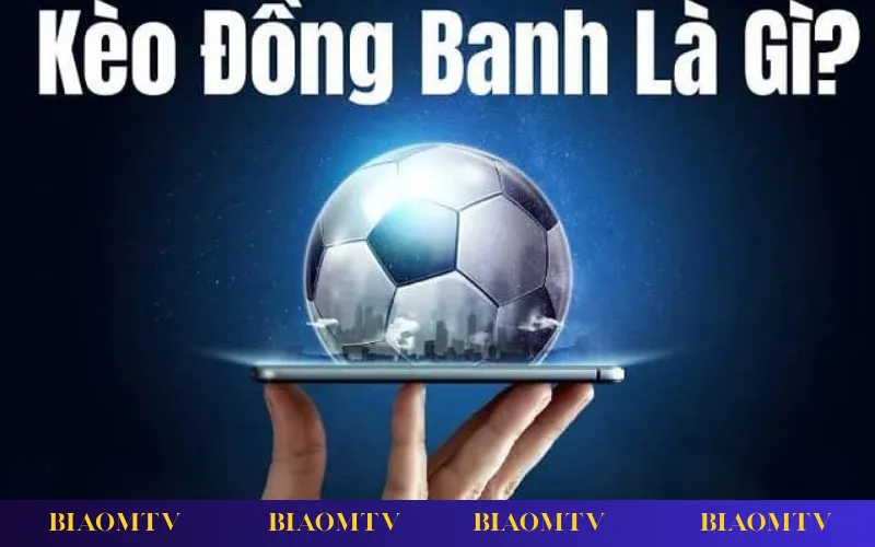 Mẹo soi kèo đồng banh dựa dữ liệu thực tế và phong độ sân nhà sân khách.