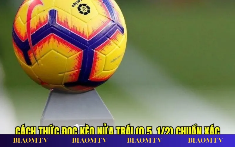 Mẹo soi kèo đồng banh nửa trái bằng thống kê và biến động tỷ lệ kèo.