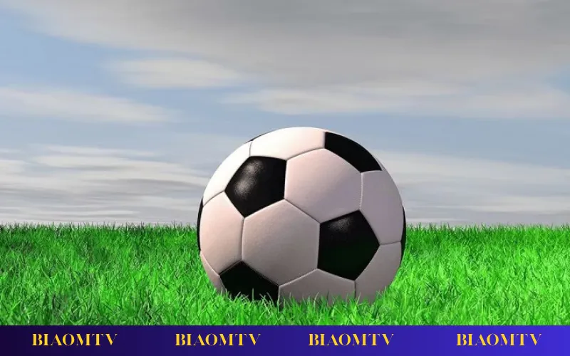 Kinh nghiệm chơi kèo đồng banh nửa trái giúp tối ưu lợi nhuận và kiểm soát rủi ro.