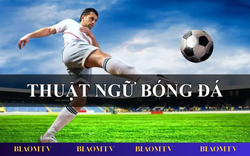 Giải thích chi tiết các thuật ngữ kèo châu Á, châu Âu và tài xỉu trong cá độ bóng đá.