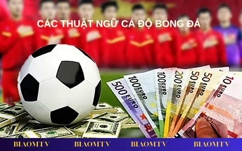 Tổng hợp thuật ngữ cá độ bóng đá giúp người chơi hiểu nhanh các loại kèo phổ biến.